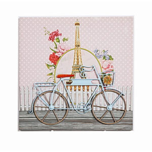 Διακοσμητικός Πίνακας Σε Καμβά Υφασμάτινο 'Bicycle' Ροζ Πουά/ Βεραμάν 40x40