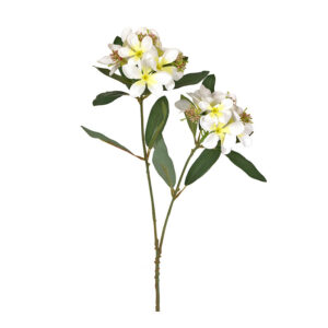 Κλαδί Υφασμάτινο Με Άνθη Πικροδάφνης Λευκό/ Κίτρινο Υ77
