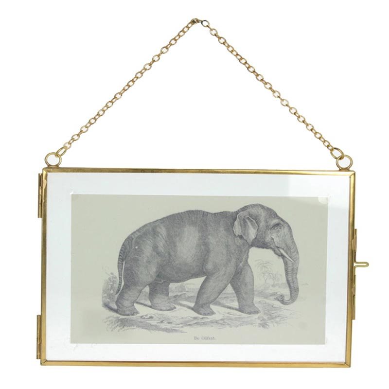 Ζάρος Κορνίζα 'Γκραβούρες Ελέφαντα' Με Μεταλλική Κορνίζα Για 10x15