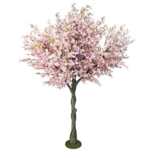 Δέντρο Κερασιά Ροζ Υ300
