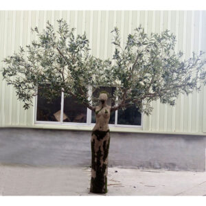 Τεχνητό Δέντρο Ελιά Υ280