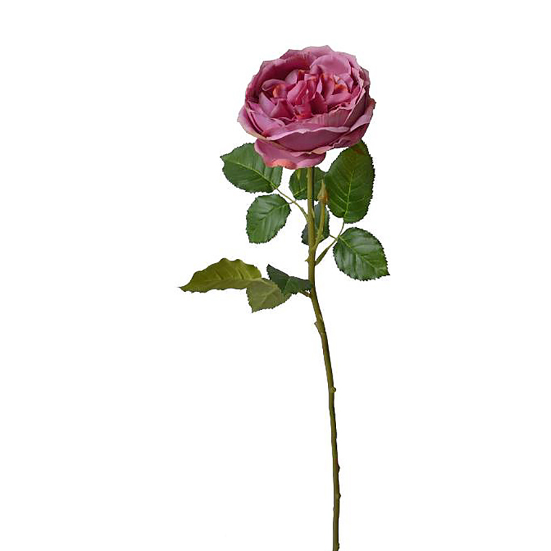 Διακοσμητικό Κλαδί English Rose Φούξια Υ76 | Zaros