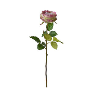 Διακοσμητικό Κλαδί English Rose Ροζ/ Πράσινο Υ76 | Zaros