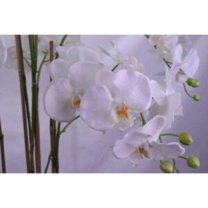 Τεχνητό Φυτό Ορχιδέα Real Touch Phalaenopsis Λευκό Υ180