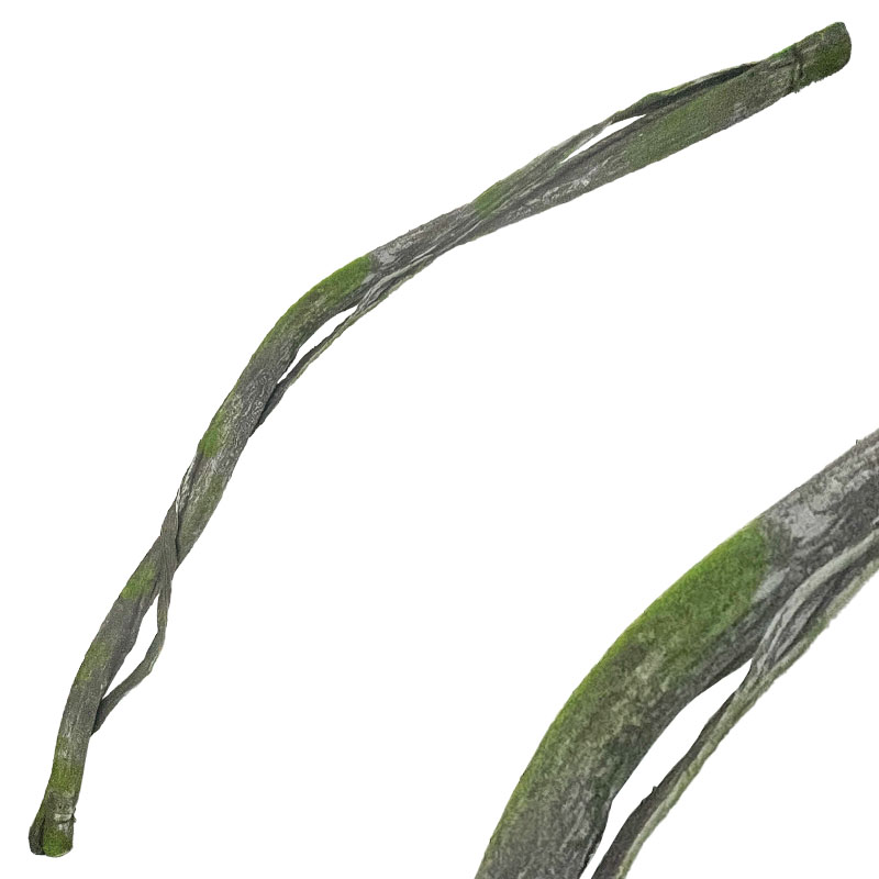 ΚΛΑΔΙ ΒΡΥΑ ΚΑΦΕ/ΠΡΑΣΙΝΟ - Υ180cm 24/96KIB