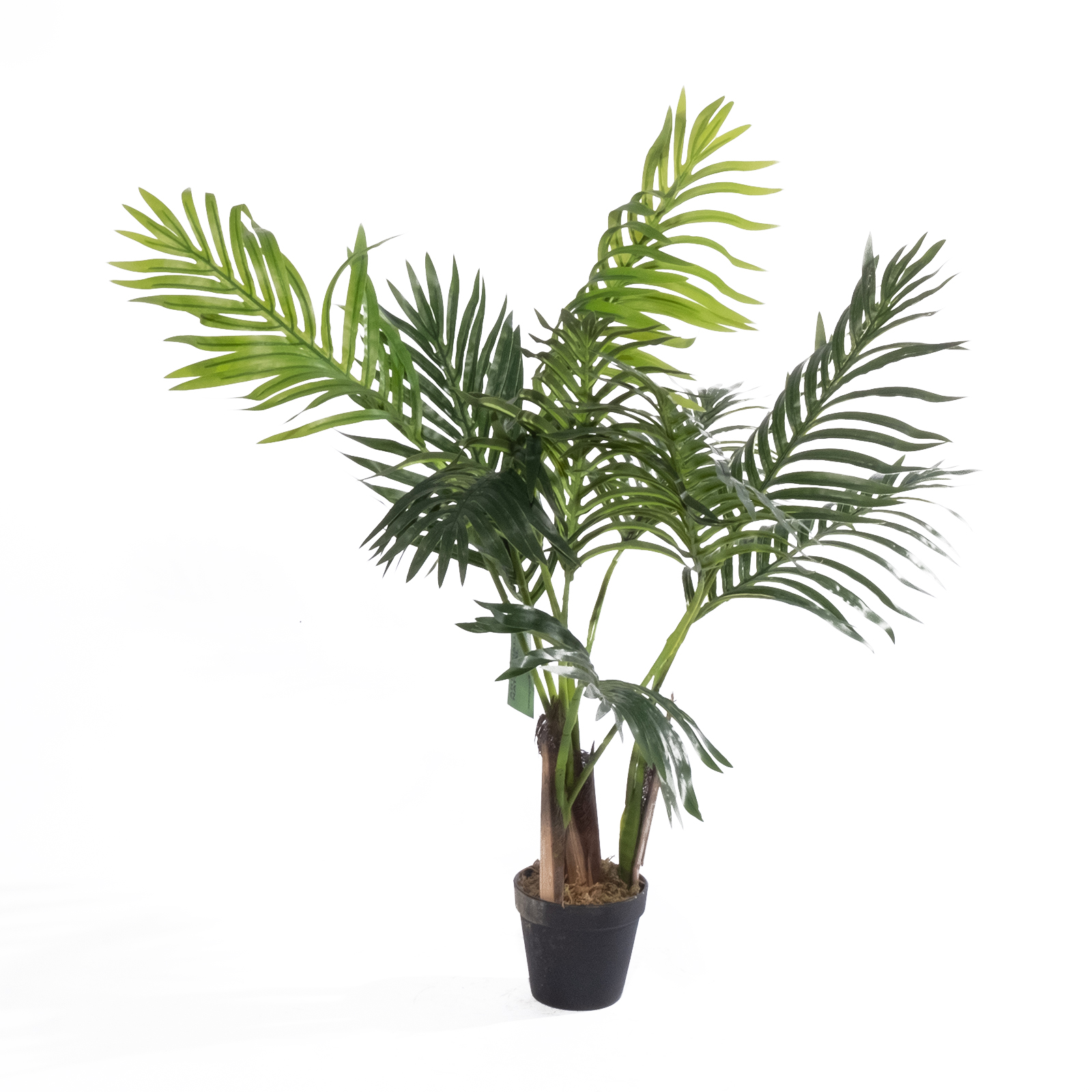 Supergreens Τεχνητό Φυτό Αρέκα "Sprout" Πράσινο 80 εκ.