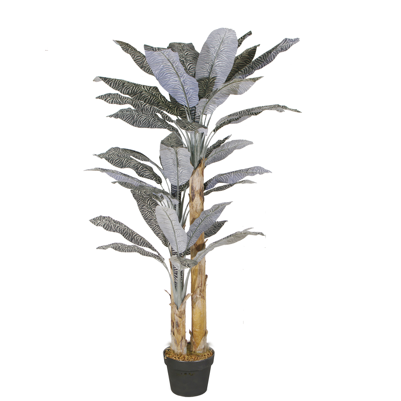 Supergreens Τεχνητό Δέντρο Μπανανιά Ζέβρα Ασπρόμαυρο 240 εκ.