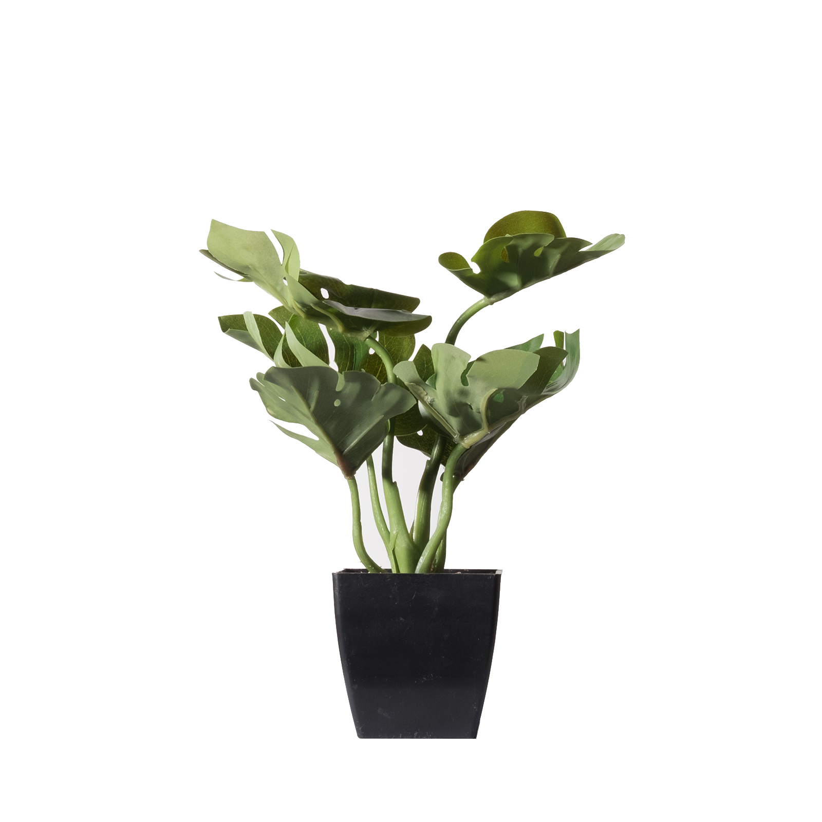 Supergreens Τεχνητό Φυτό Μονστέρα Deliciosa Πράσινο 22 εκ.