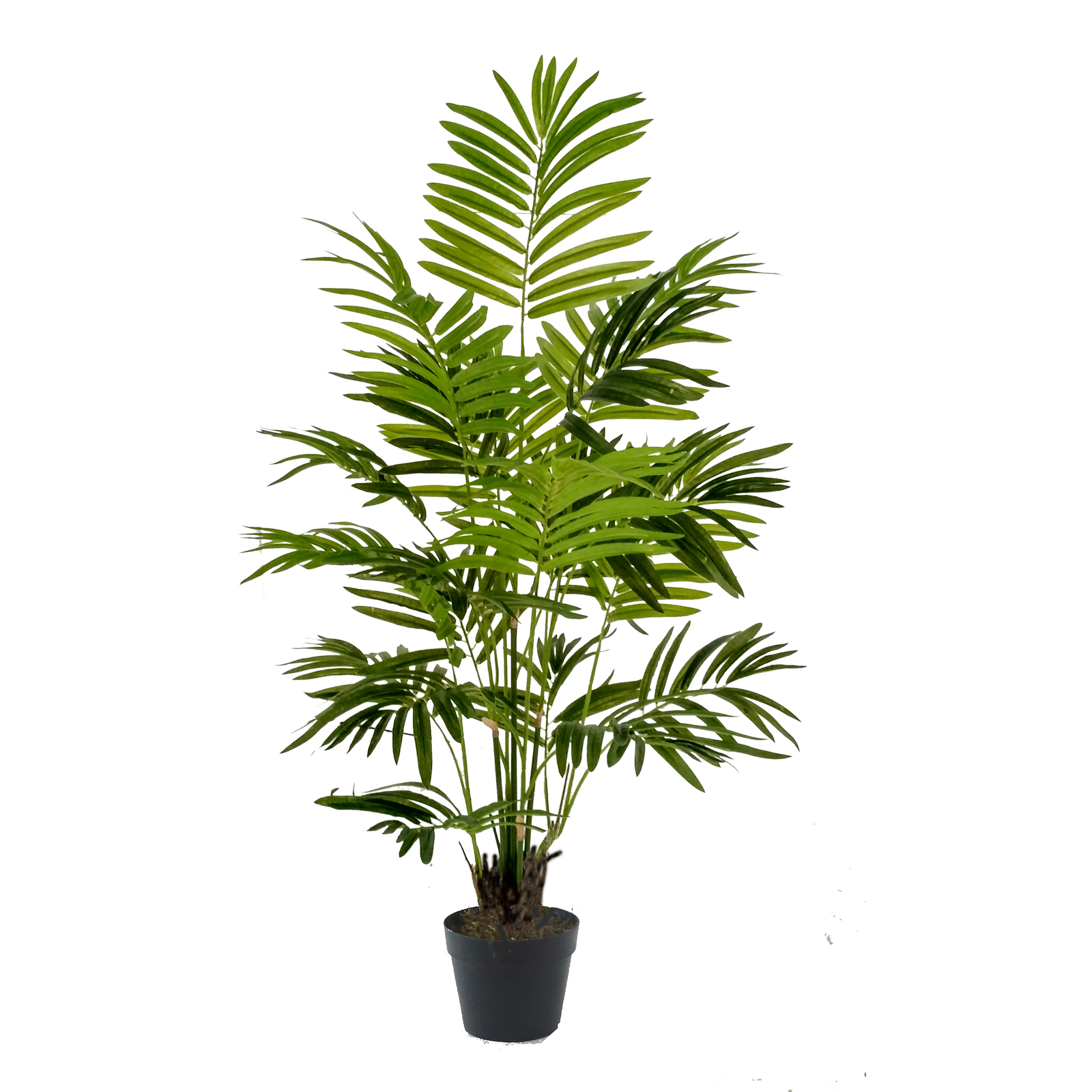 Supergreens Τεχνητό Δέντρο Φοίνικας Χαμαιδώρεα Elegans Πράσινο 100 εκ.