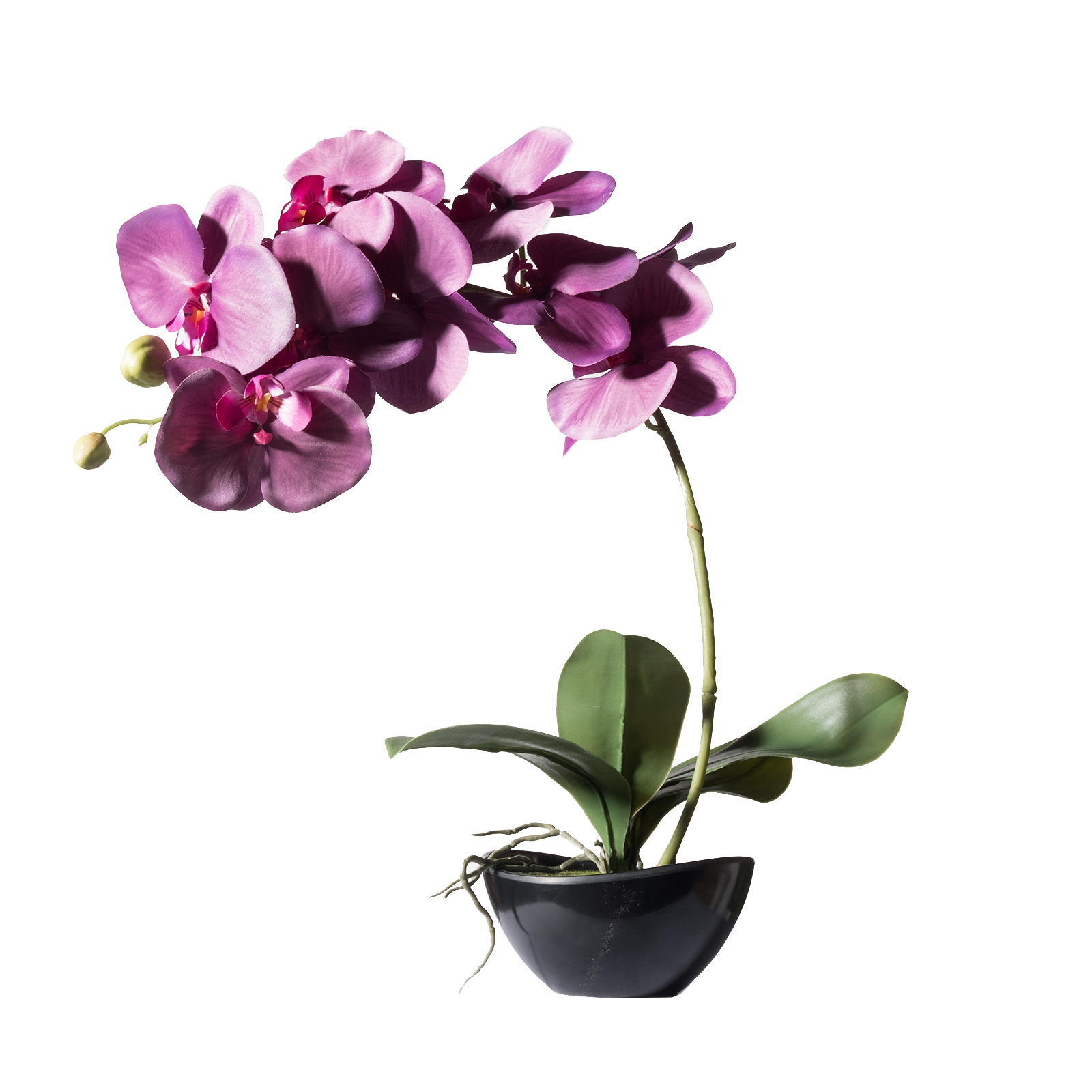 Supergreens Τεχνητό Φυτό Ορχιδέα Phalaenopsis Real Touch Μωβ με Κασπώ 48 εκ.
