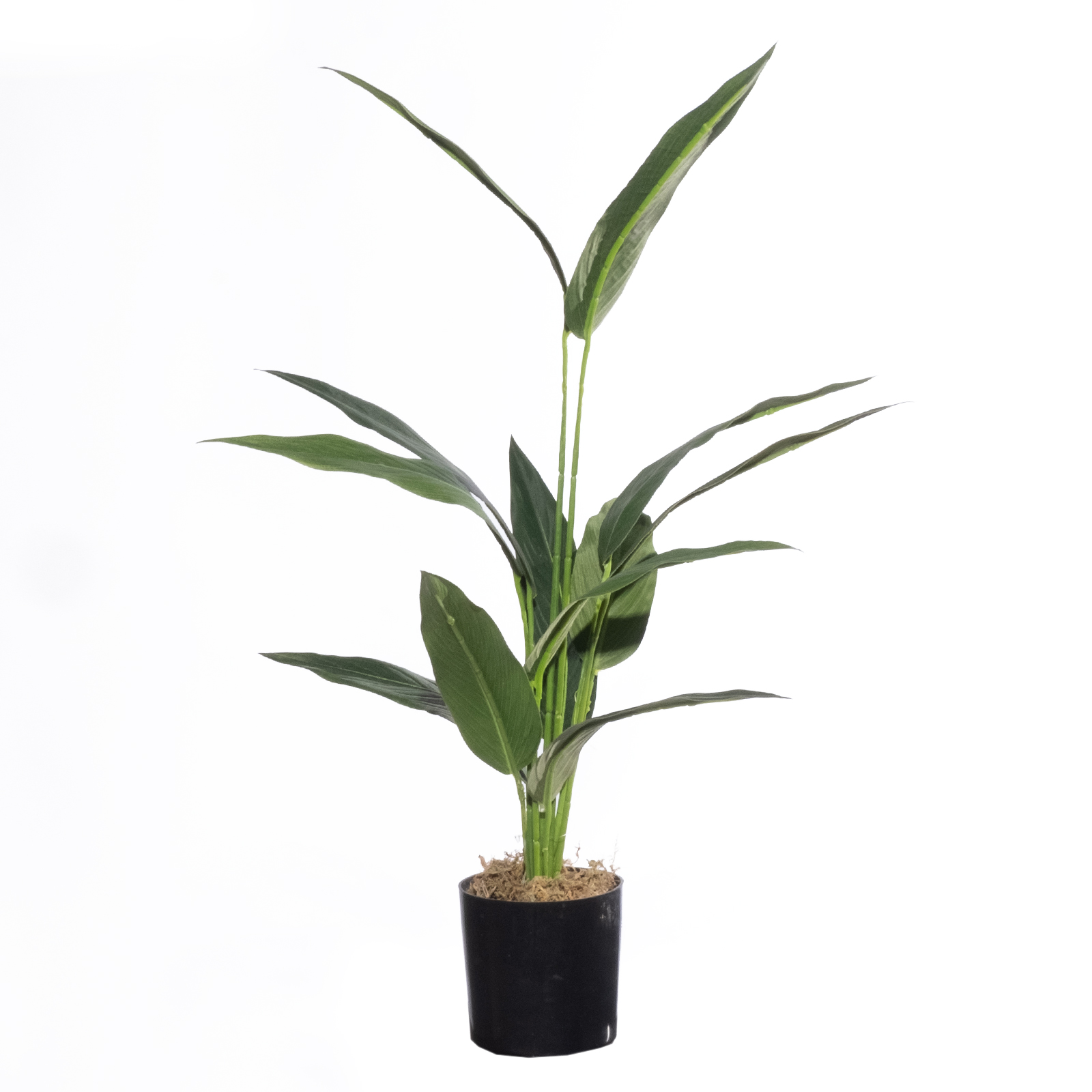 Supergreens Τεχνητό Δέντρο Πουλί του Παραδείσου "Caesura" 60 εκ.