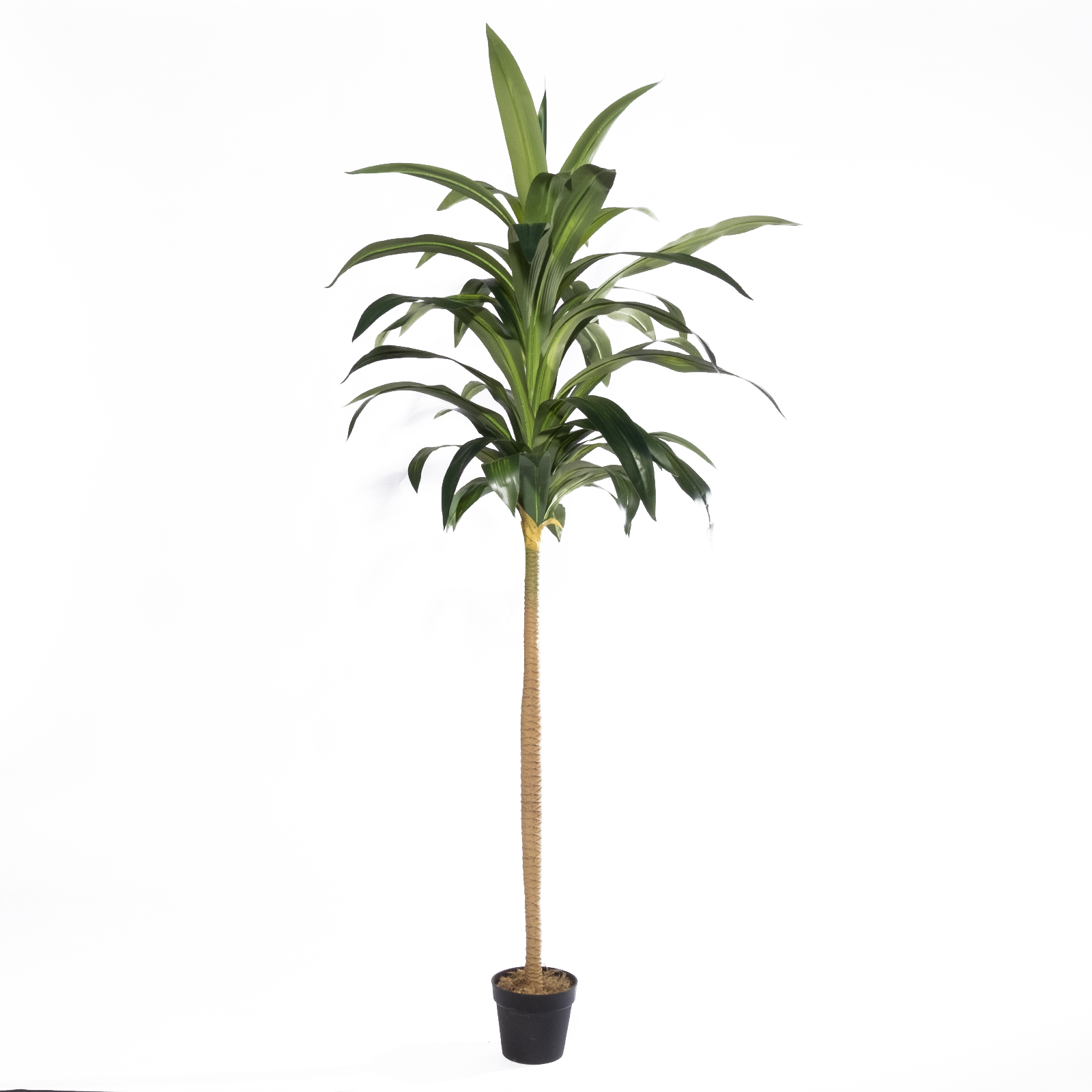 Supergreens Τεχνητό Δέντρο Δράκαινα "Aspire" Πράσινο 230 εκ.