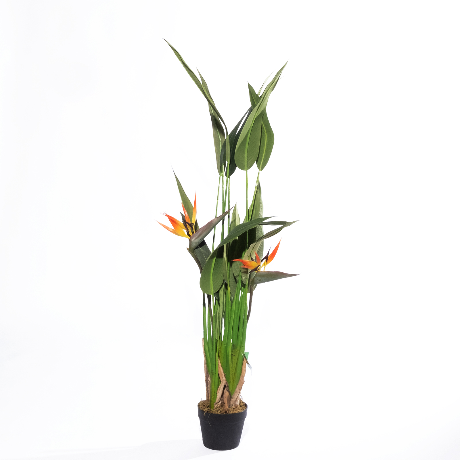 Supergreens Τεχνητό Δέντρο Πουλί του Παραδείσου "Grove" Πράσινο 140 εκ.