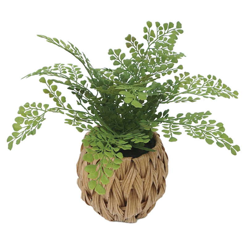 ΦΤΕΡΗ ΣΕ ΠΛΕΚΤΟ ΠΛΑΣΤΙΚΟ ΚΑΛΑΘΙ ΚΑΦΕ-ΠΡΑΣΙΝΟ - Φ32x30cm 6/48ΚΙΒ