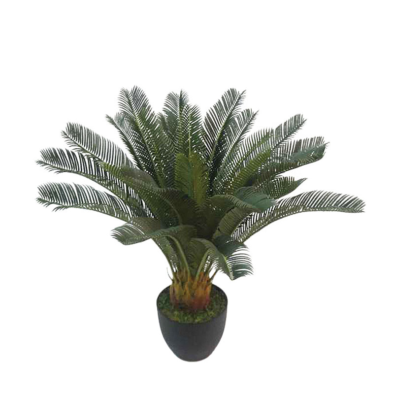 ΔΕΝΤΡΟ ΚΥΚΑΣ ΣΕ ΓΛΑΣΤΡΑ - Y72cm 4/ΚΙΒ