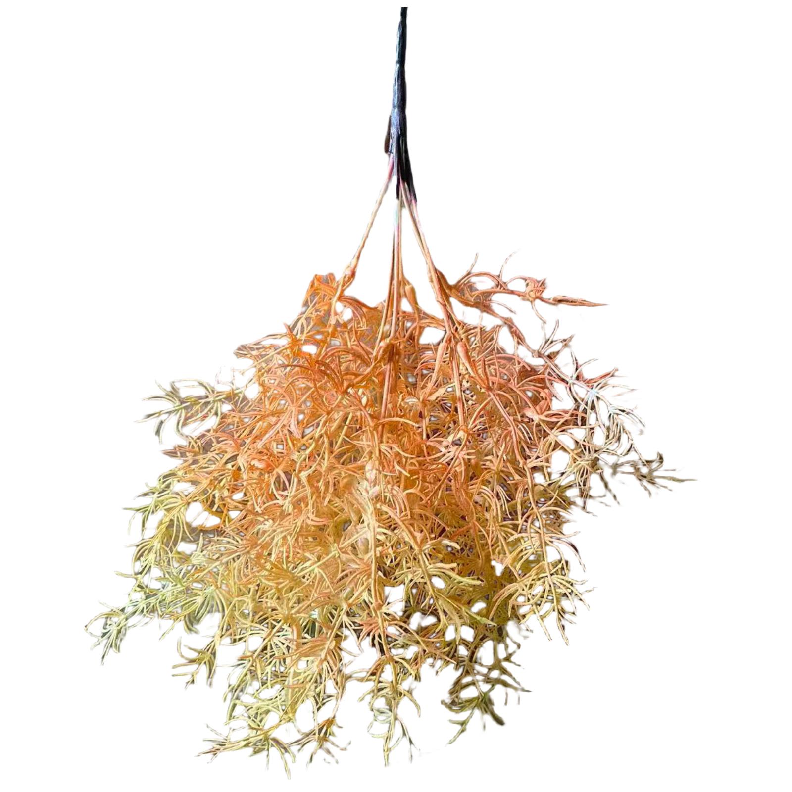 Supergreens Τεχνητό Χωνευτό Αγριόχορτο Salsosa Soda "Ivory Grass" Εκρού 38 εκ.